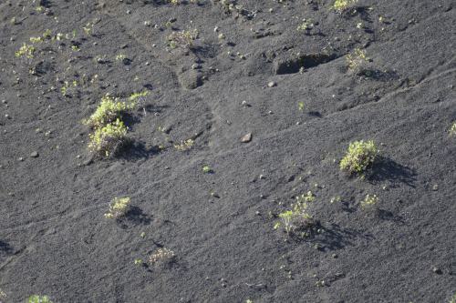 Erste Wandererung am Kraterrand des Caldera de Bandama